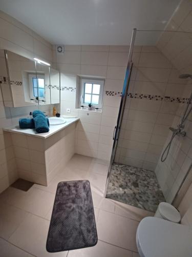 DrulingenGite avec SPA privé的带淋浴、盥洗盆和卫生间的浴室