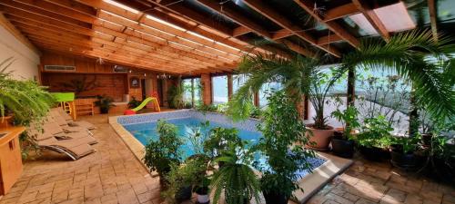 CîrceaDNT HOUSE & Spa的一座种植了大量植物的大型室内游泳池