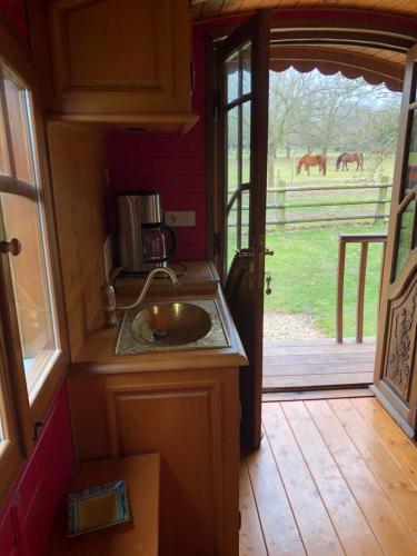 AblonROULOTTE CAPUCINE的一个带水槽的厨房,享有牧场的景色