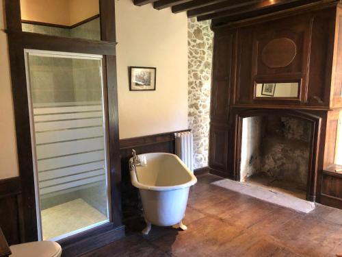 FromentalChâteau de Montautre的带浴缸的浴室和壁炉。