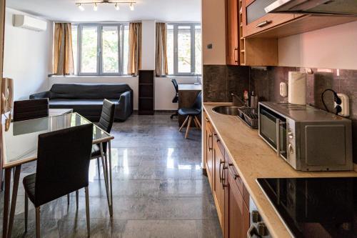 塞格德Darling Apartman的厨房以及带沙发的起居室。