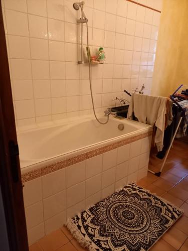 格勒诺布尔Chambre chez l'habitant, room for rent的带淋浴和地毯的浴缸的浴室