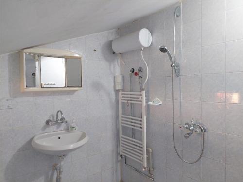 切尔诺莫雷茨Villa Sofia的带淋浴和盥洗盆的浴室