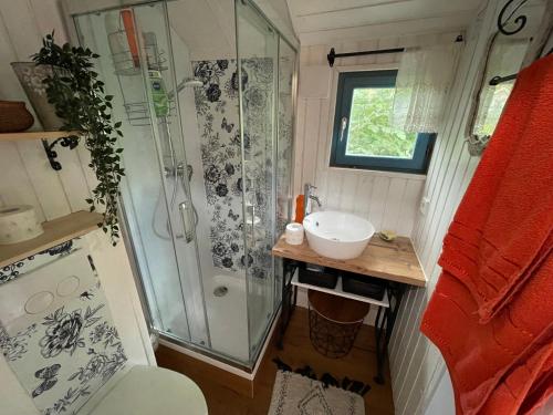 普鲁滕Tiny House Ostsee # Naturwerk的带淋浴和盥洗盆的小浴室