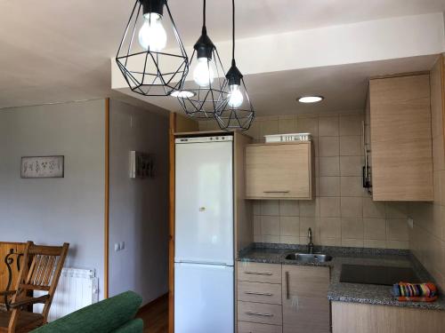 博西Apartamentos Ca de Marti的厨房配有白色冰箱和一些灯