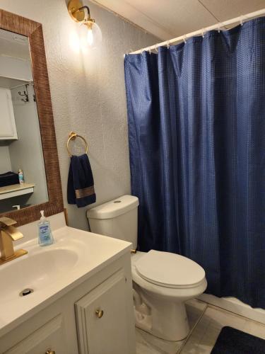 Dolan Springs1 Bdrm Grand Canyon Bridge Rental的浴室设有卫生间和蓝色的浴帘。