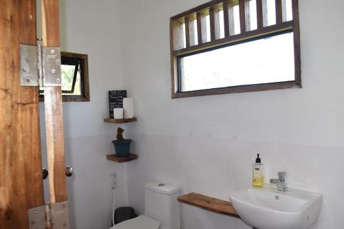 Pacifico Surf Bayay的一间带卫生间、水槽和窗户的浴室