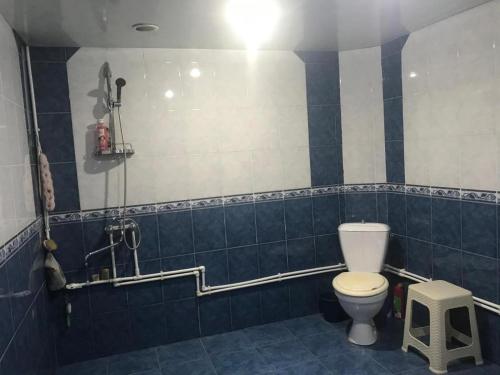 迪利然House 125a的蓝色瓷砖浴室设有卫生间和凳子