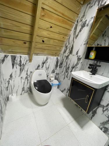 佩德纳莱斯Villa completa confotable para 9 personas的一间带卫生间和水槽的浴室