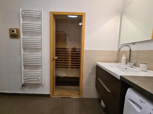 克拉尼斯卡戈拉Apartments Katja的一间带水槽和镜子的浴室