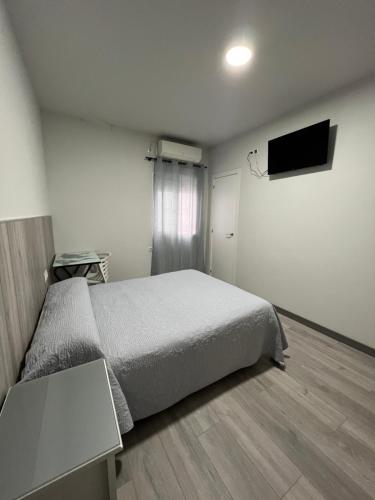瓦伦西亚豪斯佩德尔瑞皮拉尔酒店的一间卧室配有一张床和一台平面电视