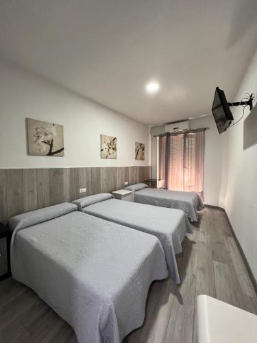 瓦伦西亚豪斯佩德尔瑞皮拉尔酒店的一间卧室设有三张床,墙上配有电视。