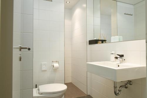 厄斯特里希-温克尔BALTHASAR RESS Guesthouse am Rebhang im Rheingau的白色的浴室设有卫生间和水槽。