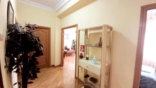 马德里Apartamento en Retiro的客房内的浴室设有水槽和镜子