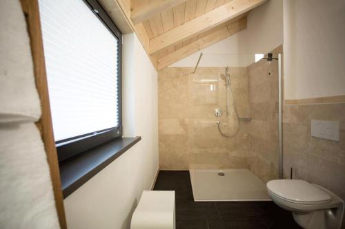 上施陶芬Châlets de la Liberté的带淋浴和卫生间的浴室以及窗户。