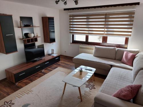 萨拉热窝Apartman Kovaci的带沙发和电视的客厅