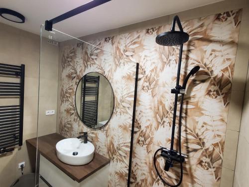 伊钦Nový apartman Eva的一间带水槽和镜子的浴室