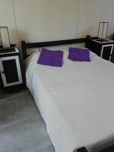 拉帕洛马Casa en Arachania - La Paloma的床上有两张紫色枕头