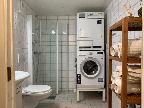 奥斯陆Top floor city center flat with free parking的一间带洗衣机和卫生间的浴室