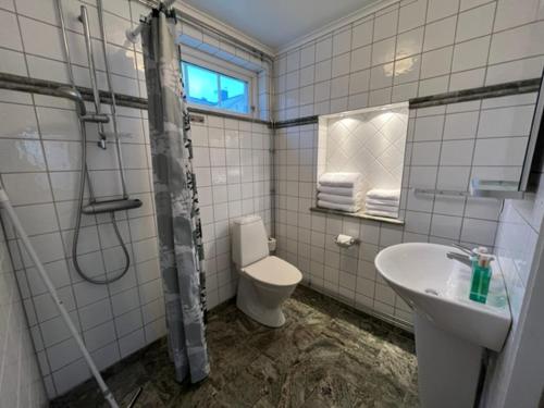 瓦斯泰纳Sjögården的浴室配有卫生间、盥洗盆和淋浴。