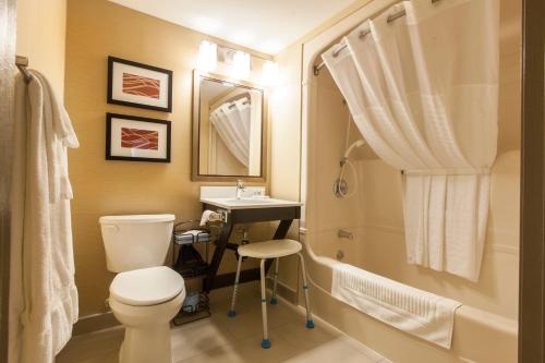 查塔姆查塔姆康福特茵酒店的浴室配有卫生间、盥洗盆和淋浴。