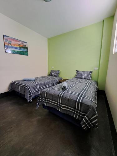 格拉纳达Hostal Mochilas的绿墙客房内的两张床