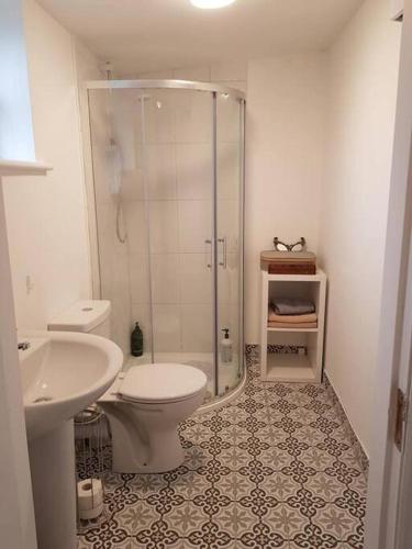 DelvinButterfly Cottage Retreat - Private Studio Getaway的带淋浴、卫生间和盥洗盆的浴室