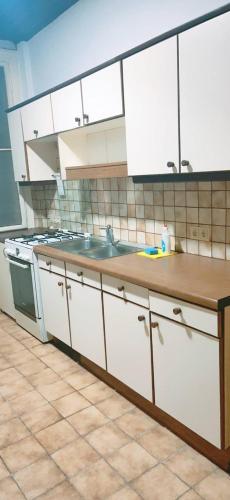 维也纳Standard Apartment 5P TH的厨房配有白色橱柜和水槽