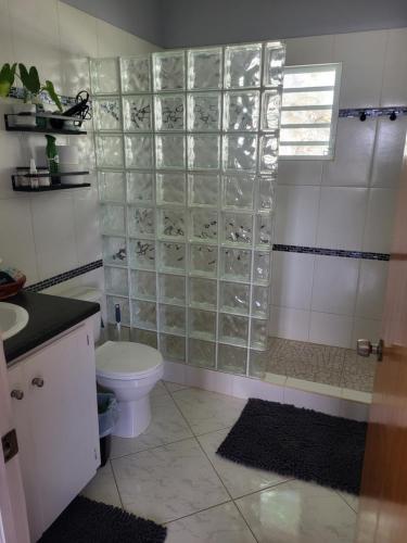 ParhamMount Joy Getaway的浴室设有卫生间和带玻璃面板的淋浴间。
