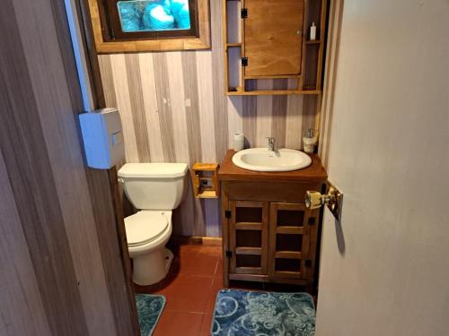 蒙特港Cabaña Alba的一间带卫生间和水槽的小浴室