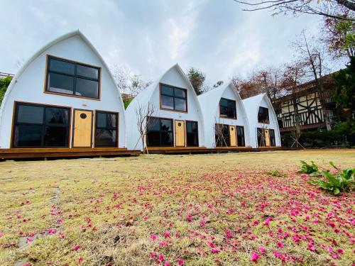 仁爱乡見晴花園山莊Sunshine Villa的一排白色房子,在田野上种有粉红色的花