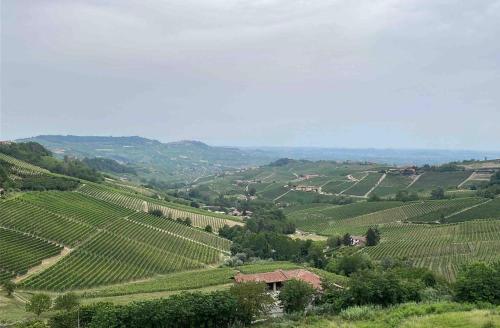 蒙福特达尔巴Soggiorno con splendida vista的从带房子的山丘上欣赏葡萄园的景色
