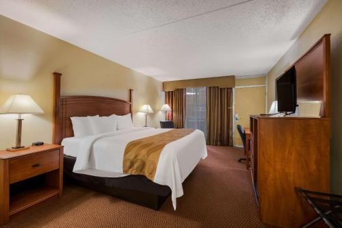奇克谢Quality Inn的酒店客房设有一张大床和一台电视。