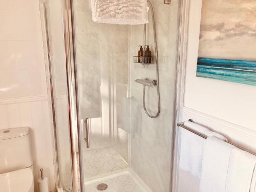 索尔兹伯里Websters Bed & Breakfast的带淋浴的浴室和玻璃门