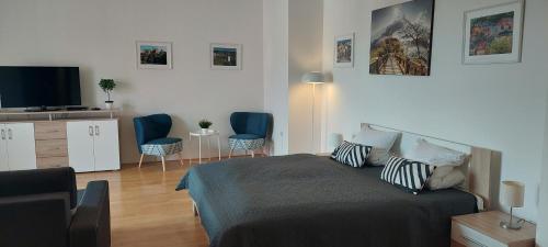 卡罗维发利利兹登斯瑟托卡酒店的一间卧室配有一张床和两张蓝色椅子