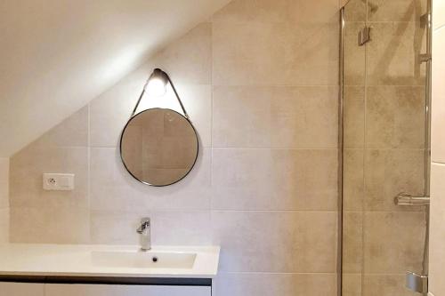 阿宰勒里多La Petite Loge à Azay-le-Rideau的带淋浴、盥洗盆和镜子的浴室