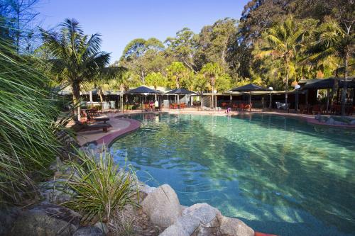 DurrasNRMA穆尔拉玛朗海滨度假酒店的一座棕榈树和遮阳伞的大型游泳池
