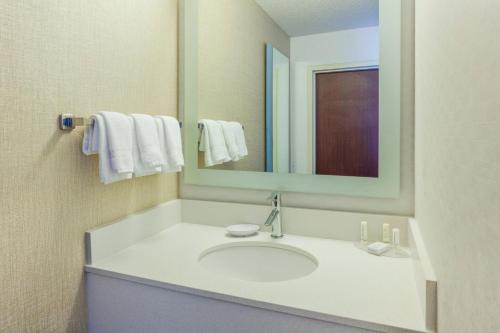 圣路易斯帕克明尼阿波利斯西部圣路易斯公园春季山丘套房酒店的浴室配有带镜子的盥洗盆和毛巾