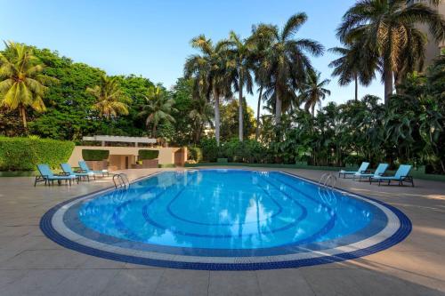 苏拉特Surat Marriott Hotel的一个带蓝色椅子和棕榈树的大型游泳池