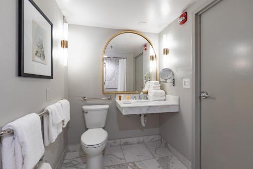奥兰多Castle Hotel, Autograph Collection的一间带卫生间、水槽和镜子的浴室