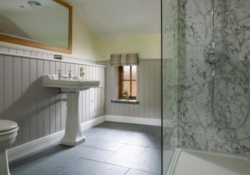 贝图瑟科伊德Glandwr Cottage at Hendre Rhys Gethin的一间带水槽和淋浴的浴室