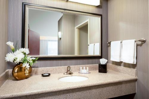 哥伦比亚哥伦比亚万怡酒店的一间带水槽和大镜子的浴室