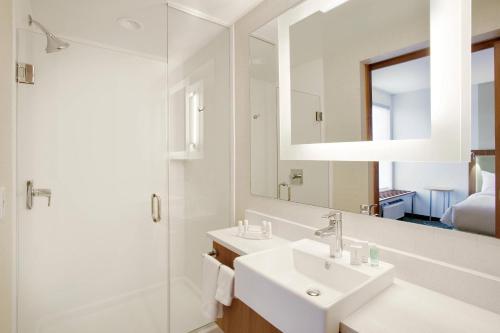 穆雷默里春季山丘套房万豪酒店的一间带水槽、淋浴和镜子的浴室