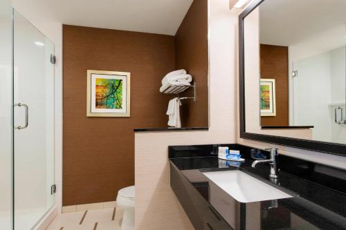 克林顿杰克逊克林顿费尔菲尔德客栈酒店的一间带水槽、镜子和卫生间的浴室
