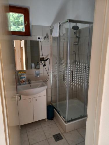 博加奇Fülöpsziget vendégház的带淋浴和盥洗盆的浴室