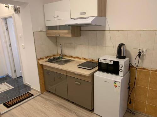 布拉索夫NoblessResidence的一间带水槽和微波炉的小厨房