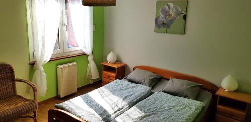 卢加诺Casa Dina的绿色卧室配有床和风扇