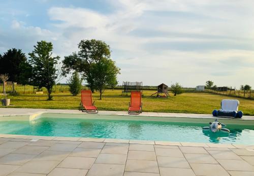 马斯利维Piscine chauffée Villa mouettes de Loire的水中带椅子和狗的游泳池