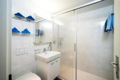 蓬特雷西纳Chesa Quadrella的一间带卫生间和玻璃淋浴间的浴室