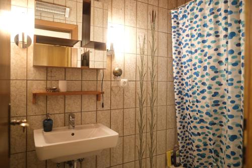 因斯布鲁克Haus Blang Einzelzimmer的一间带水槽和淋浴帘的浴室